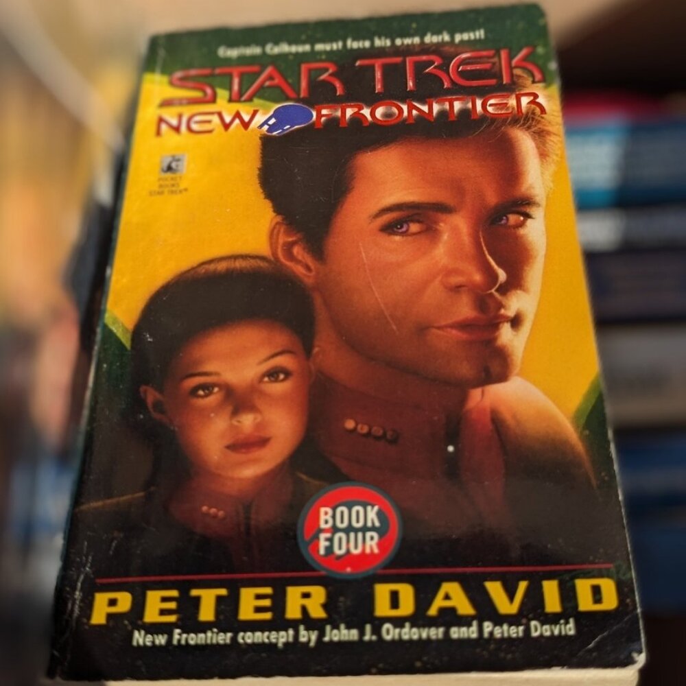 Star Trek New Frontier Book Four By Peter David (1997, Paperback Book) Book 4